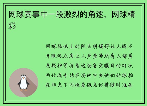 网球赛事中一段激烈的角逐,网球精彩
