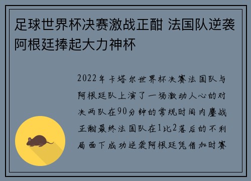 足球世界杯决赛激战正酣 法国队逆袭阿根廷捧起大力神杯