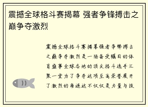 震撼全球格斗赛揭幕 强者争锋搏击之巅争夺激烈